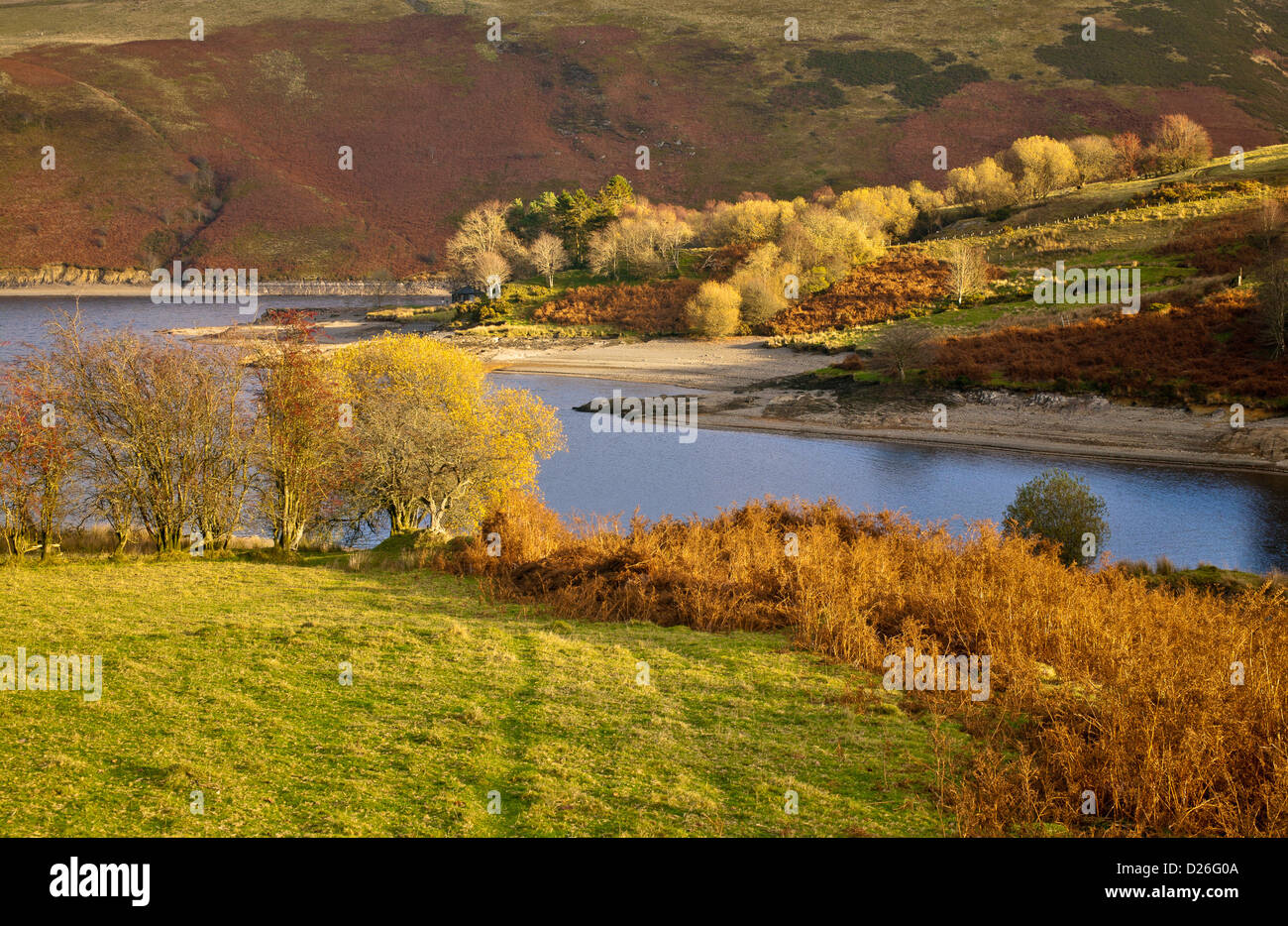 LLYN CLYWEDOG GRAND RÉSERVOIR DANS LES COLLINES DE POWYS PAYS DE GALLES Banque D'Images