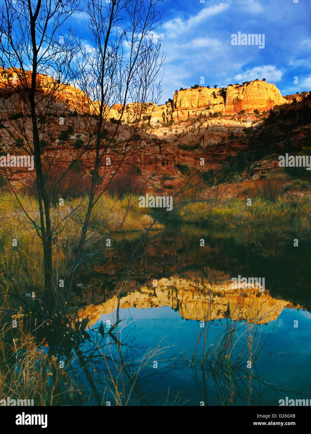 Étang de castors Calf Creek Canyon Banque D'Images