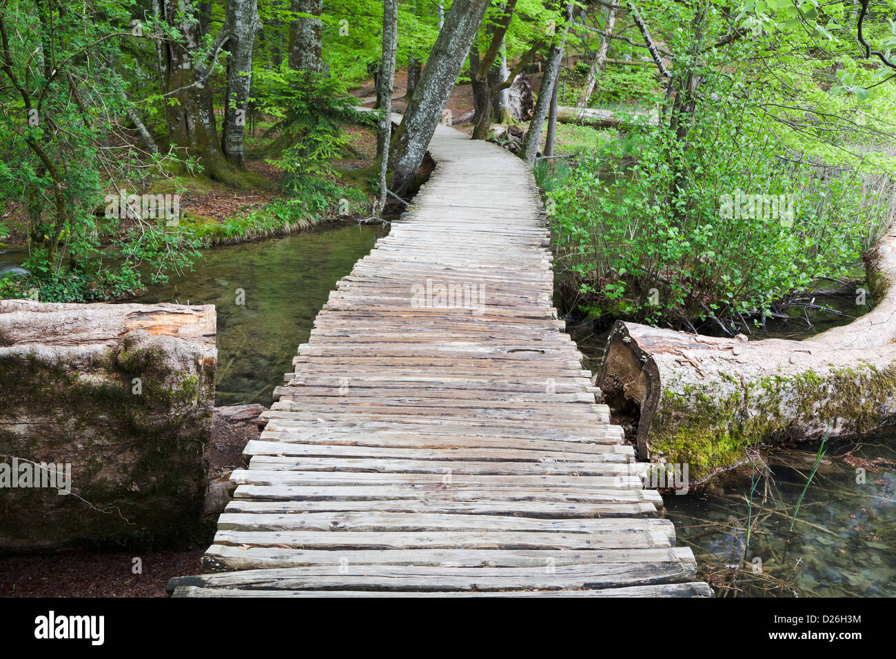 Les lacs de Plitvice dans le parc national Plitvicka Jezera en Croatie. Chemin de planches typiques. L'Europe du Sud, Croatie Banque D'Images