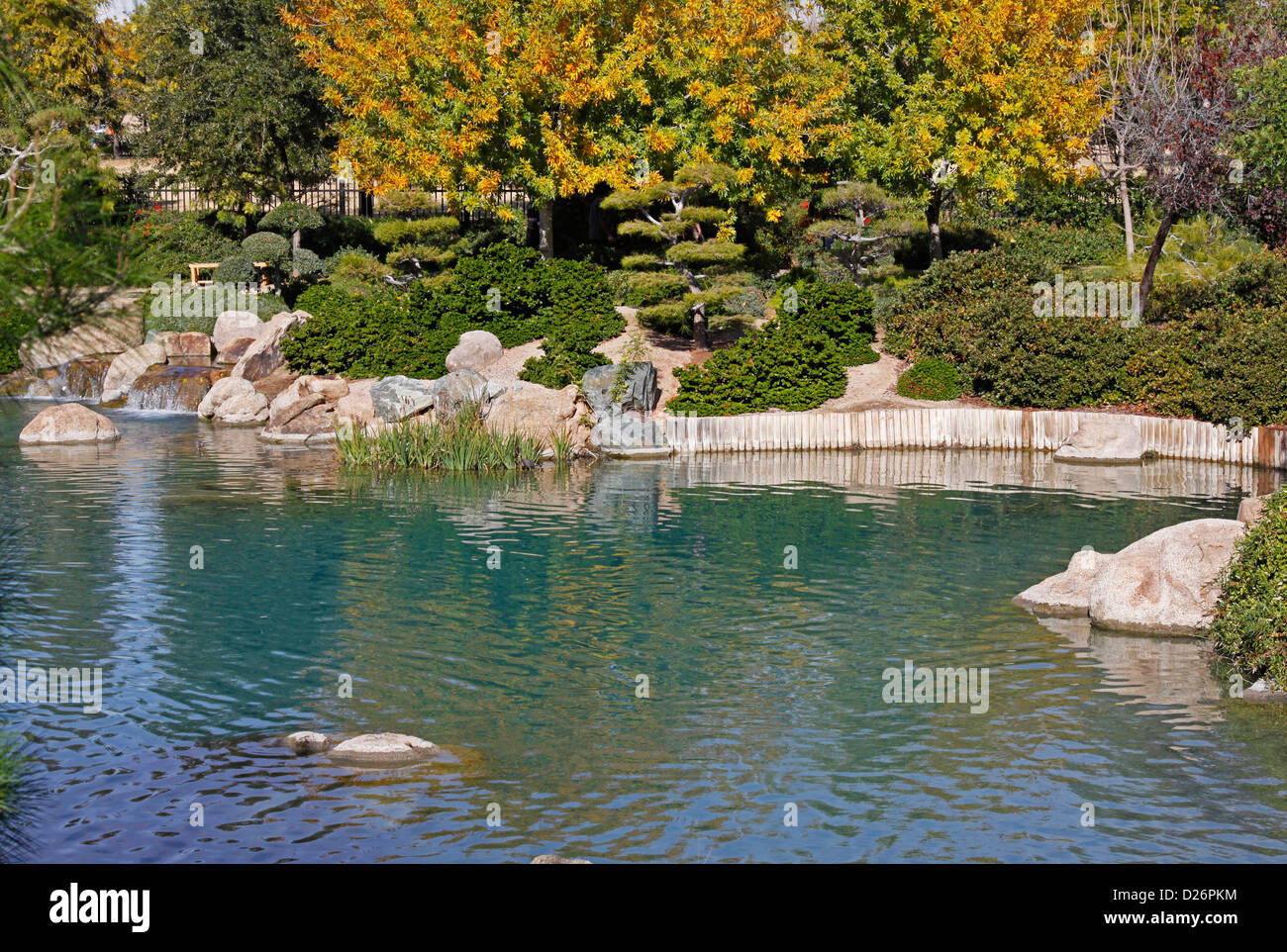 L'étang de koi de la rive en automne Banque D'Images