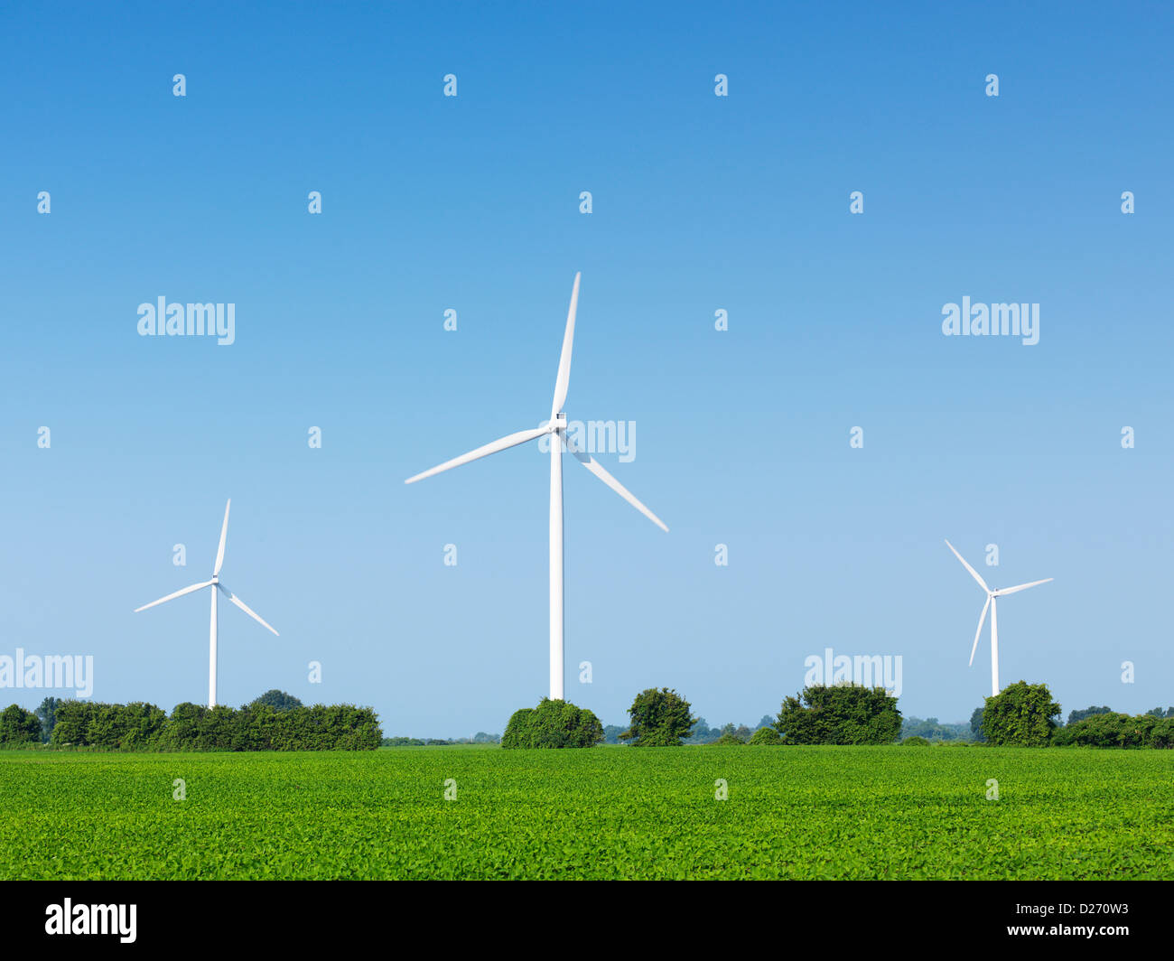 Éoliennes dans un champ vert sous ciel bleu. L'Ontario, Canada. Banque D'Images
