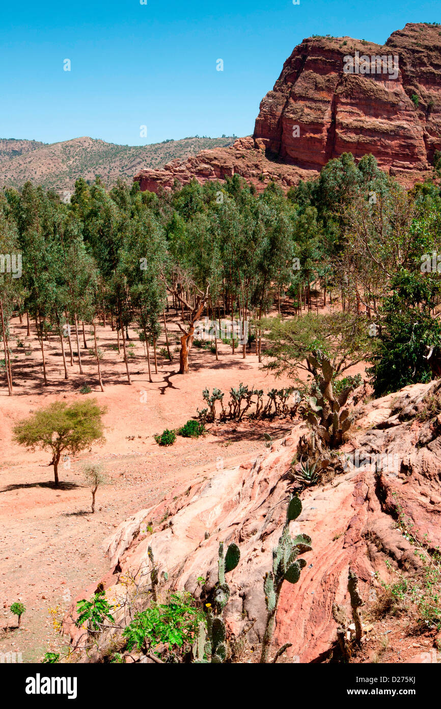 Vue panoramique de Abraha Atsbeha, près de l'église de Mekele, Ethiopie, Afrique. Banque D'Images