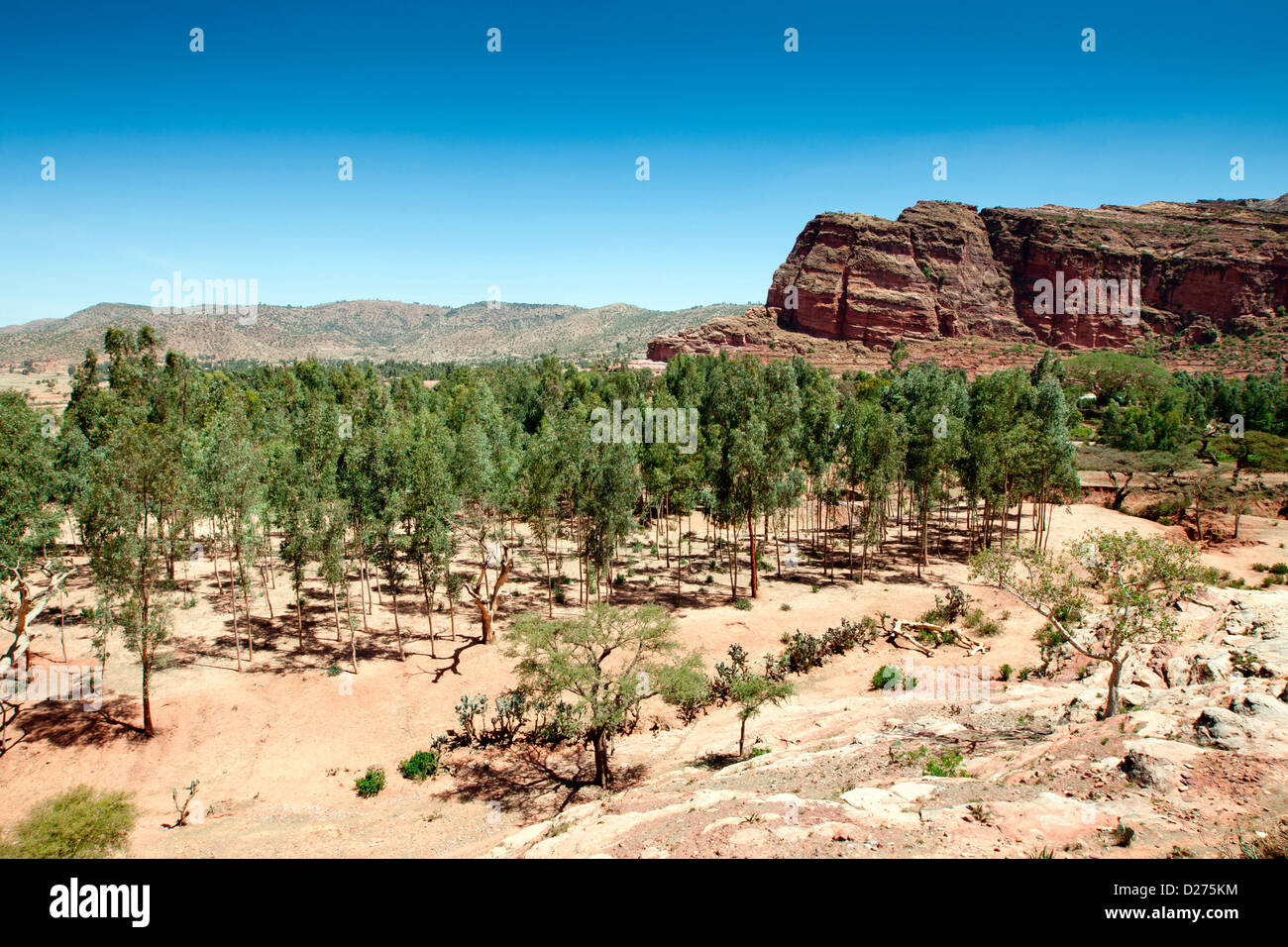 Vue panoramique de Abraha Atsbeha, près de l'église de Mekele, Ethiopie, Afrique. Banque D'Images