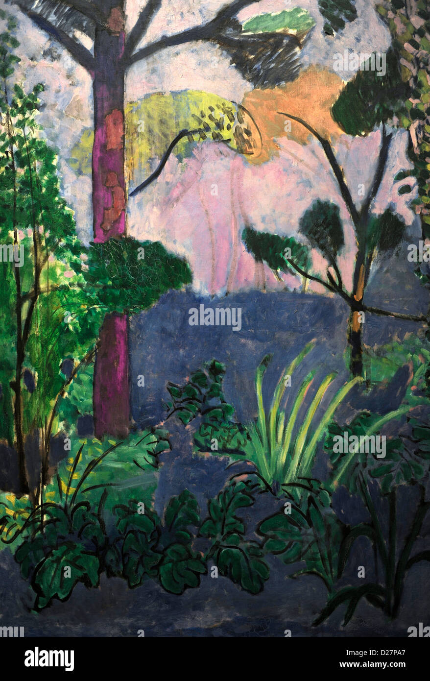 'Henri Matisse (d'acanthe paysage marocain)' Banque D'Images