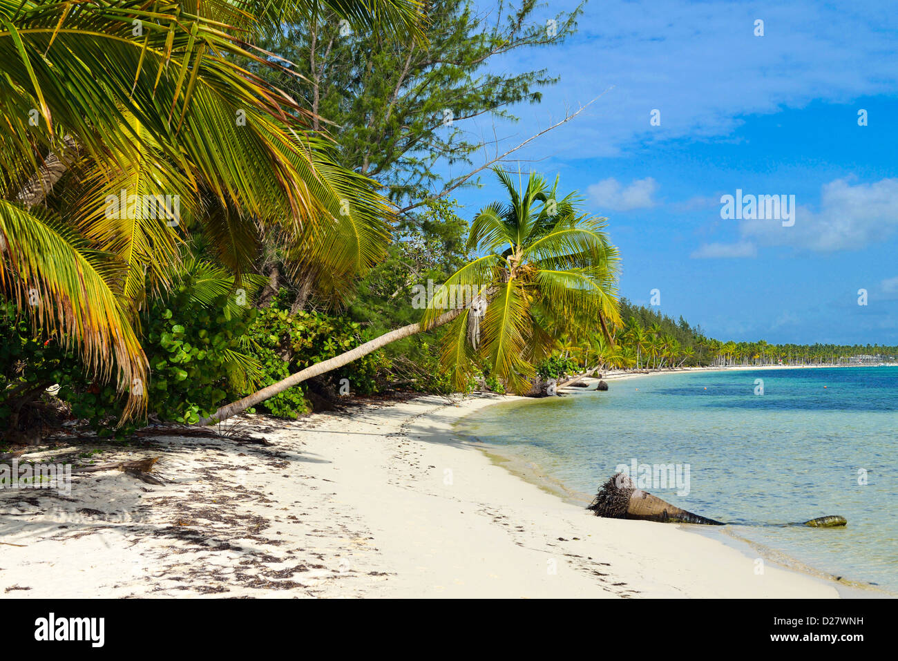 Plage de Punta Cana, République dominicaine, Caraïbes avec des palmiers Banque D'Images