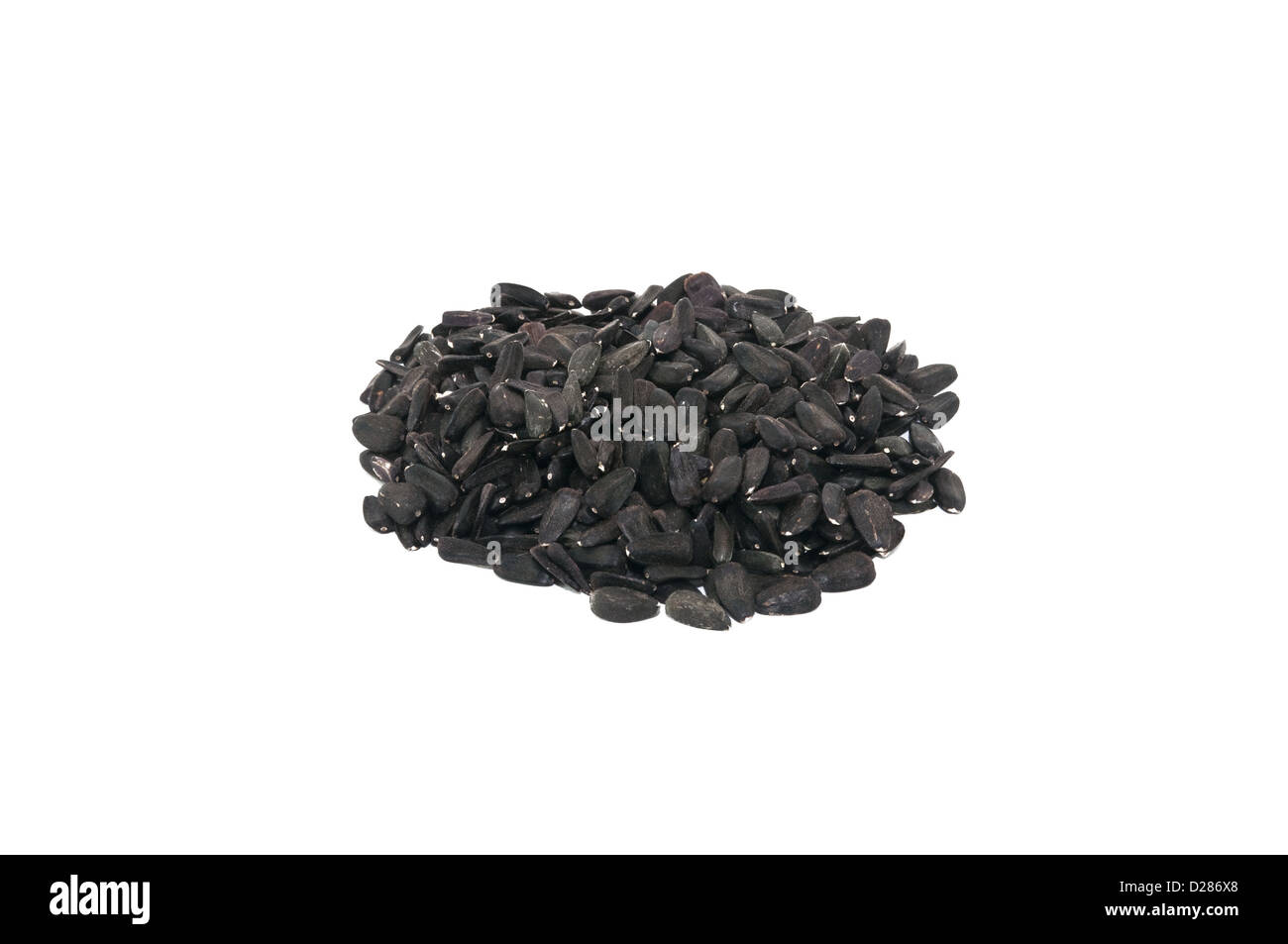 Les graines de tournesol noires isolé sur fond blanc Banque D'Images