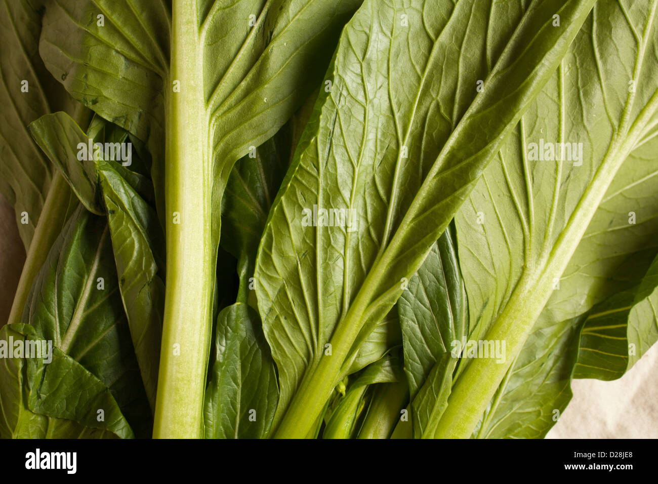 Fresh Yu Choy, un légume vert chinois typique Banque D'Images