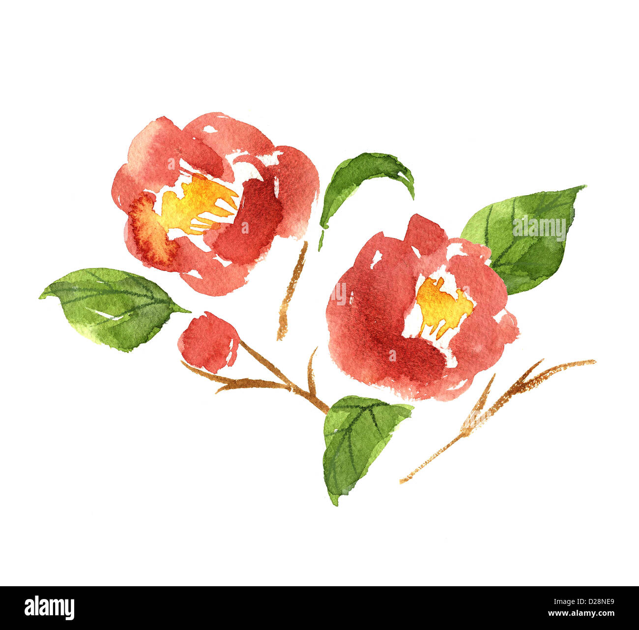 Illustration de camélia Banque D'Images