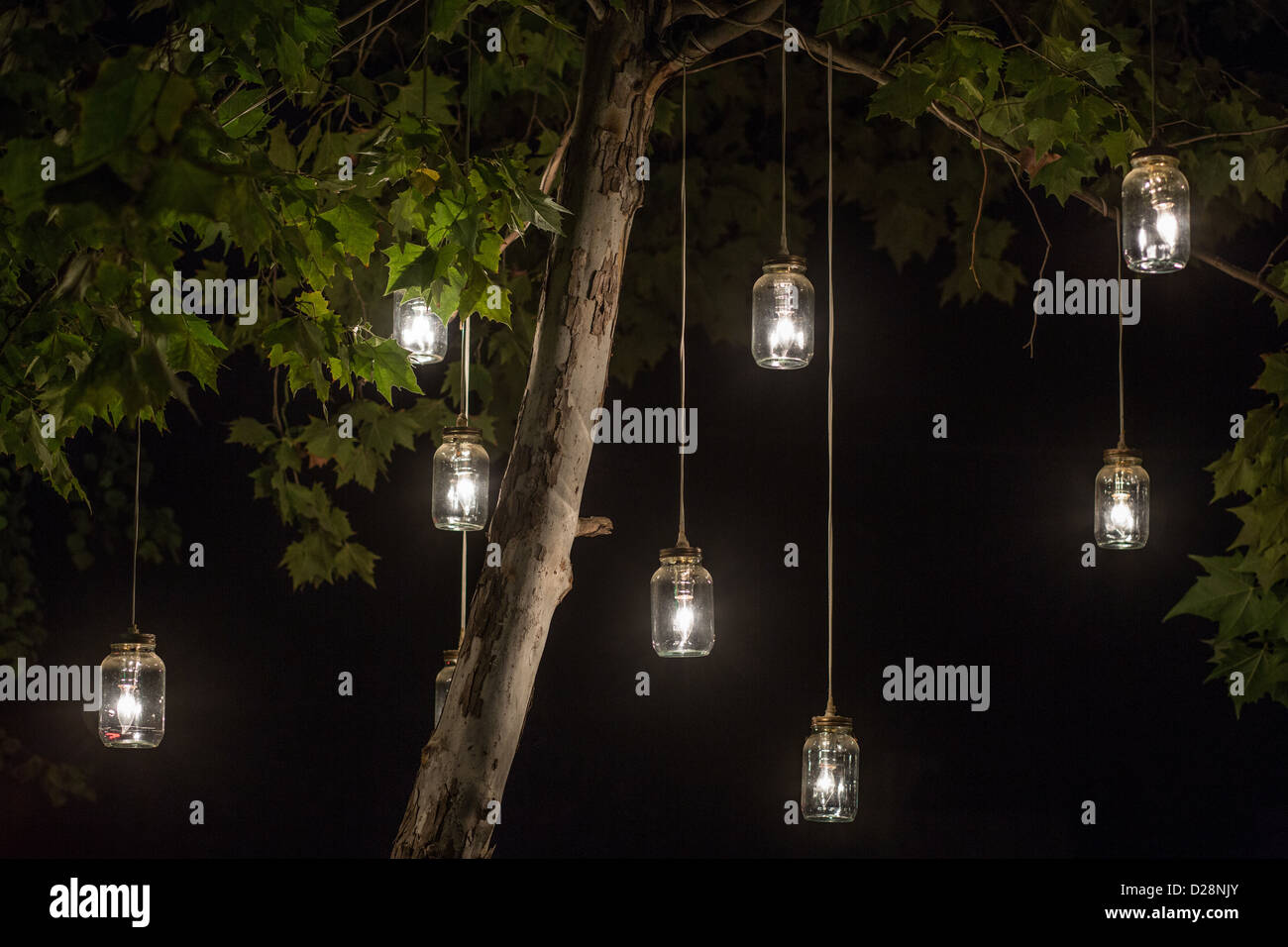 Les feux lumineux pot Mason accrochée à un arbre Banque D'Images Les feux lumineux pot Mason accrochée à un arbre Banque D'Images