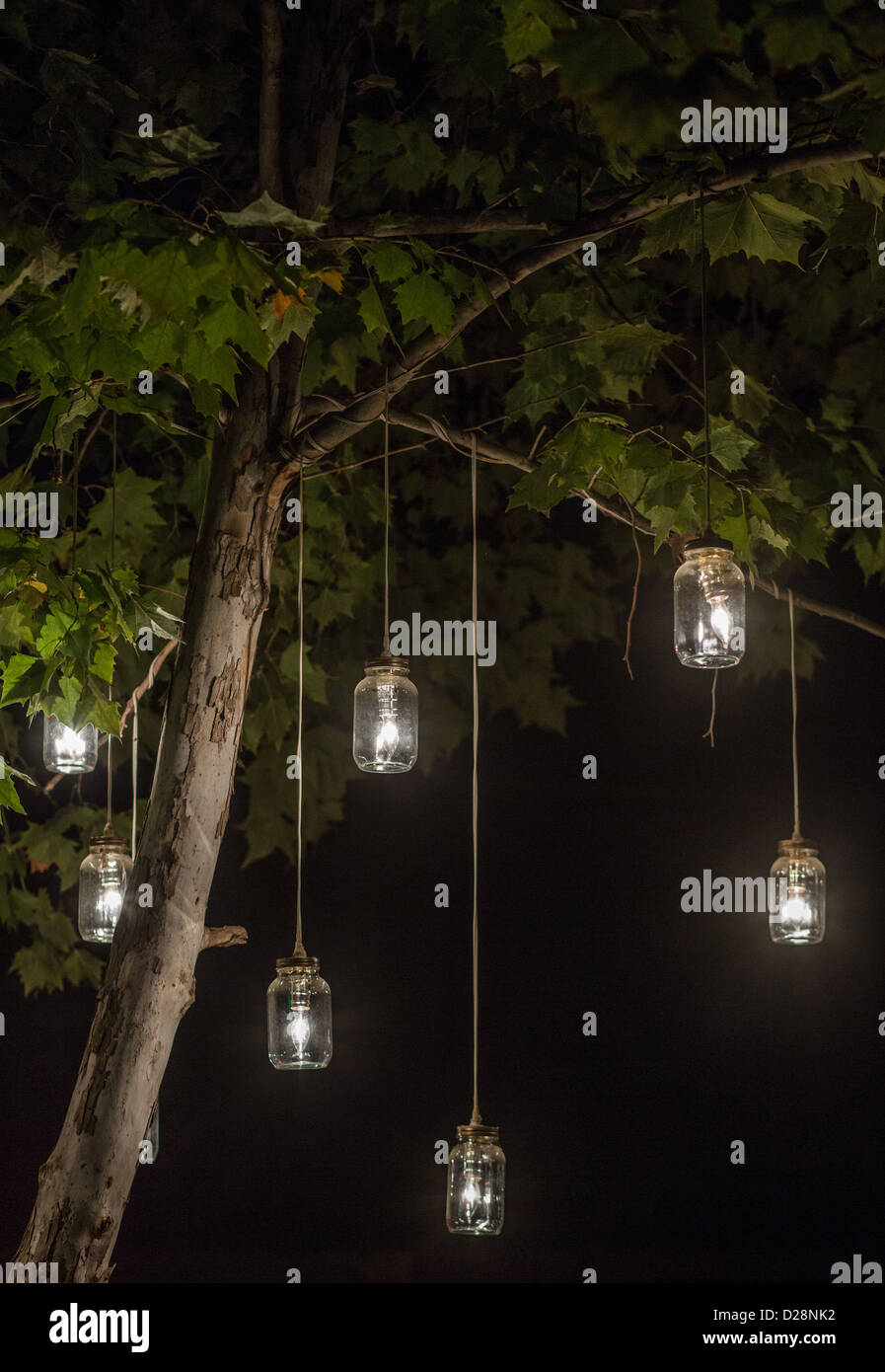 Les feux lumineux pot Mason accrochée à un arbre Banque D'Images Les feux lumineux pot Mason accrochée à un arbre Banque D'Images