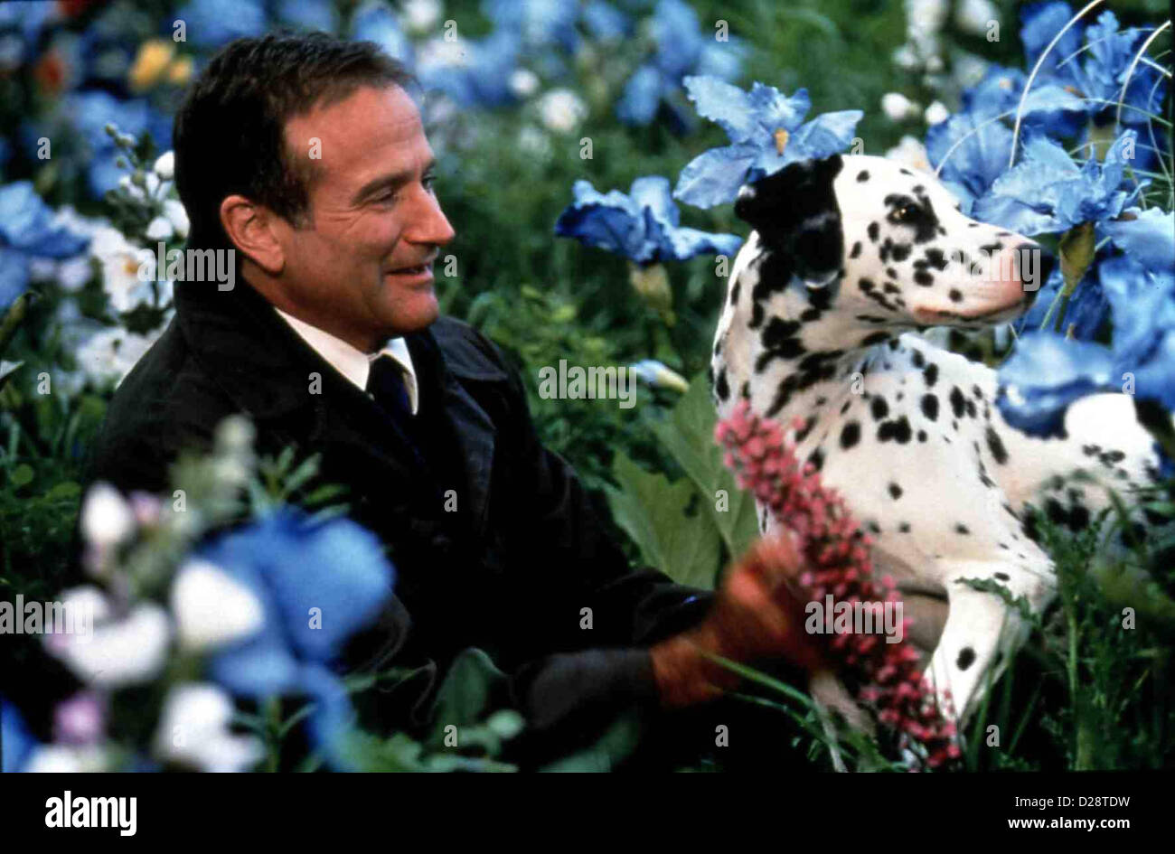 What dreams may come Banque d'image et photos Alamy What dreams may come Banque d'image et photos Alamy