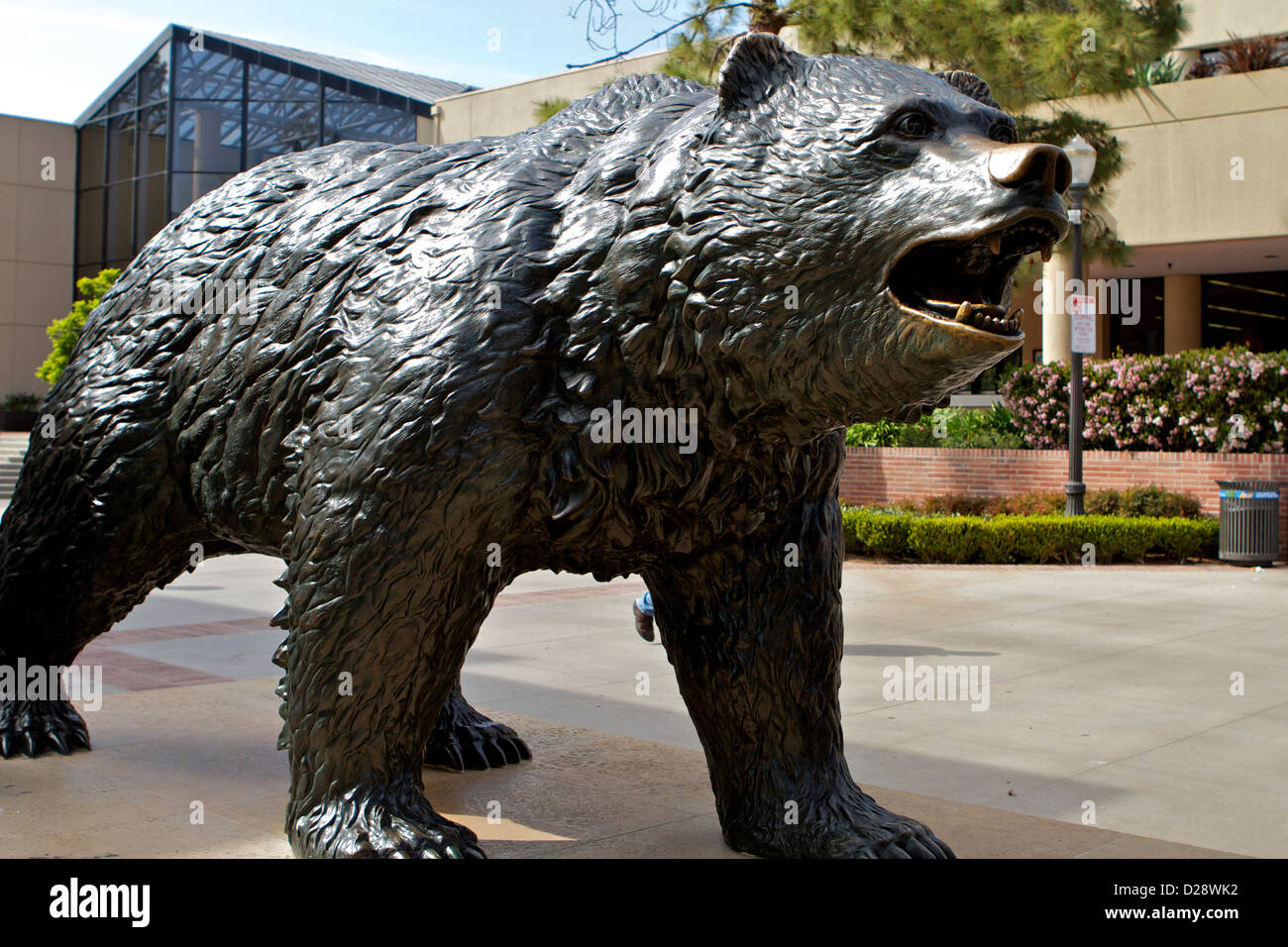 Le Bruin Bear à l'Université de Californie à Los Angeles Banque D'Images