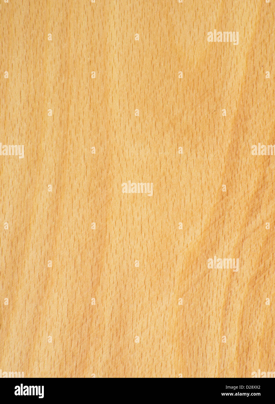 Fond bois Banque D'Images