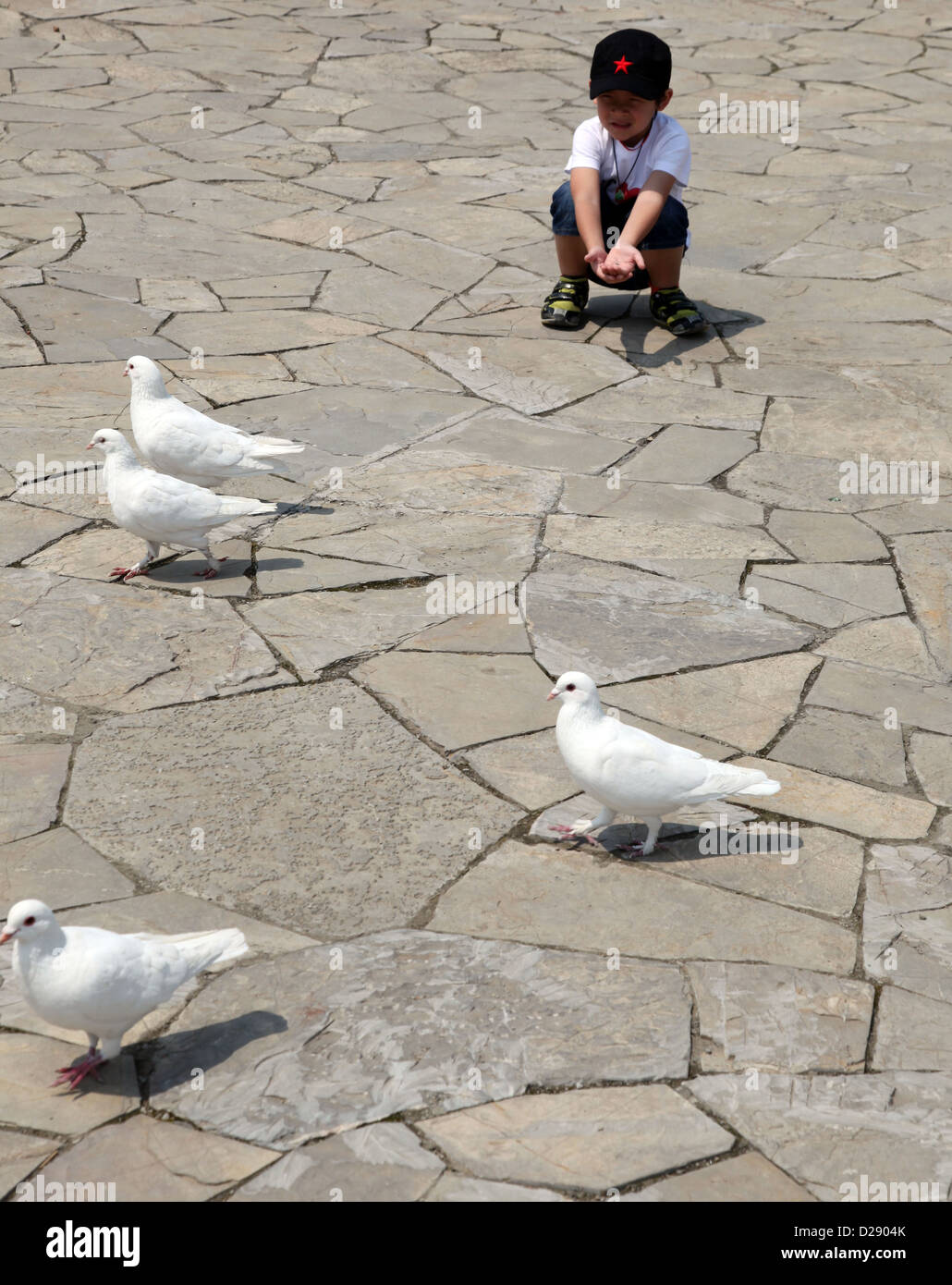 C'est une photo d'un bébé garçon enfant kid qui est de donner des vivres de graines au livre blanc les pigeons dans un parc. Il porte un capuchon noir avec rouge Banque D'Images