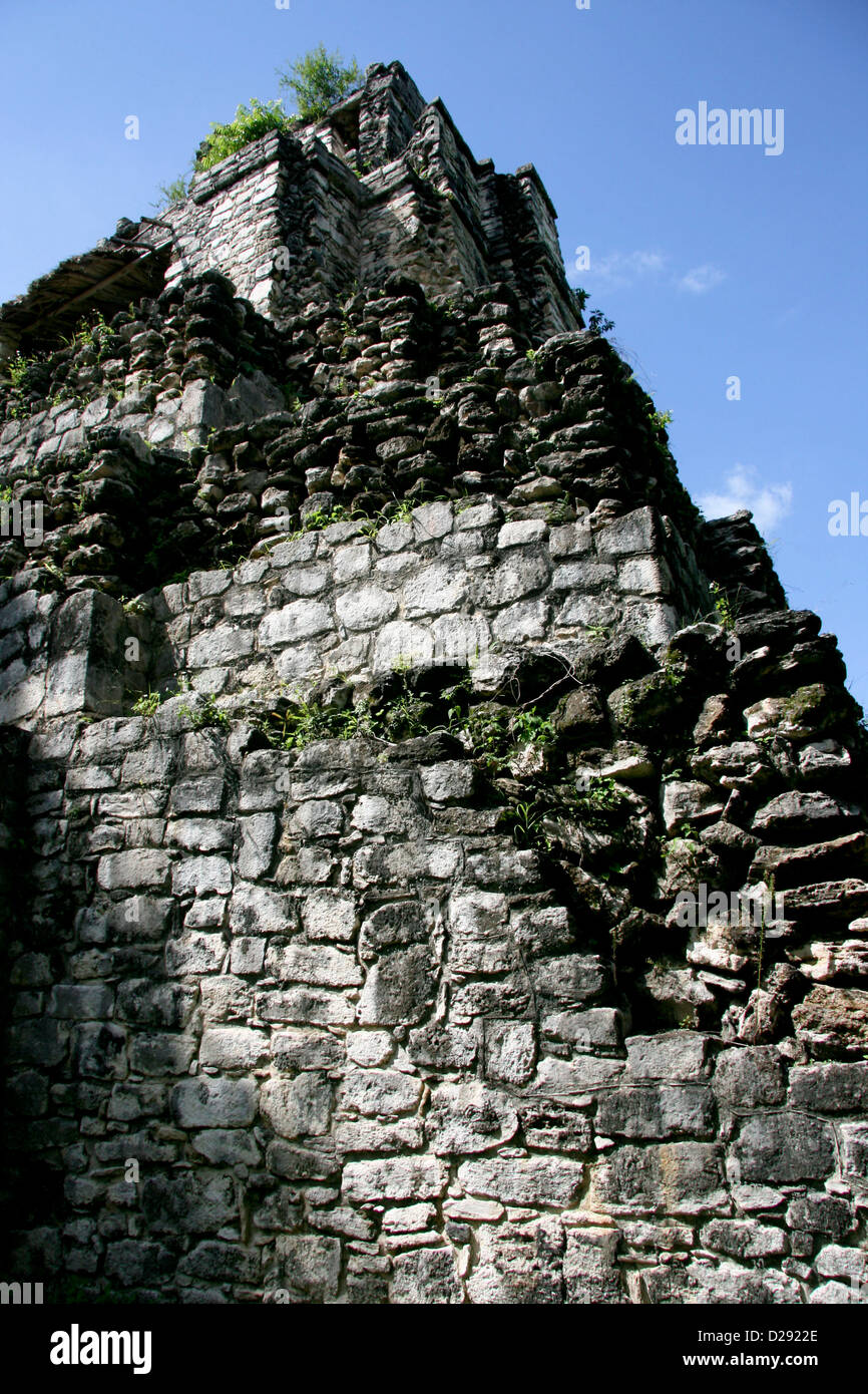 La biosphère de Sian Ka'an, temple maya Muyil à Quintana Roo. Le Mexique Banque D'Images