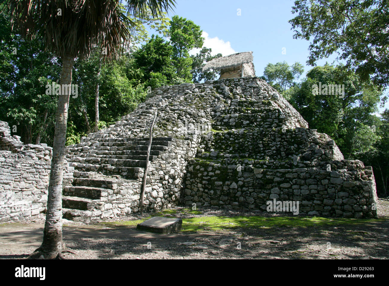 Pyramide de Coba Mayan Ruins. Le Mexique Banque D'Images
