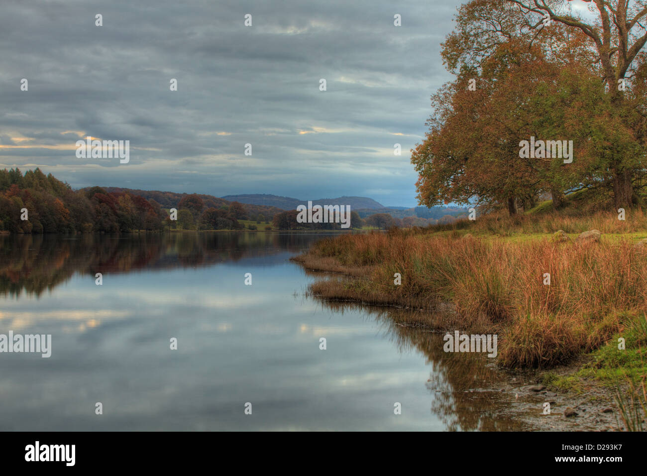 Vue sur le lac à l'aube de l'automne. Esthwaite Water, Lake District, Cumbria. L'Angleterre. Octobre. Banque D'Images
