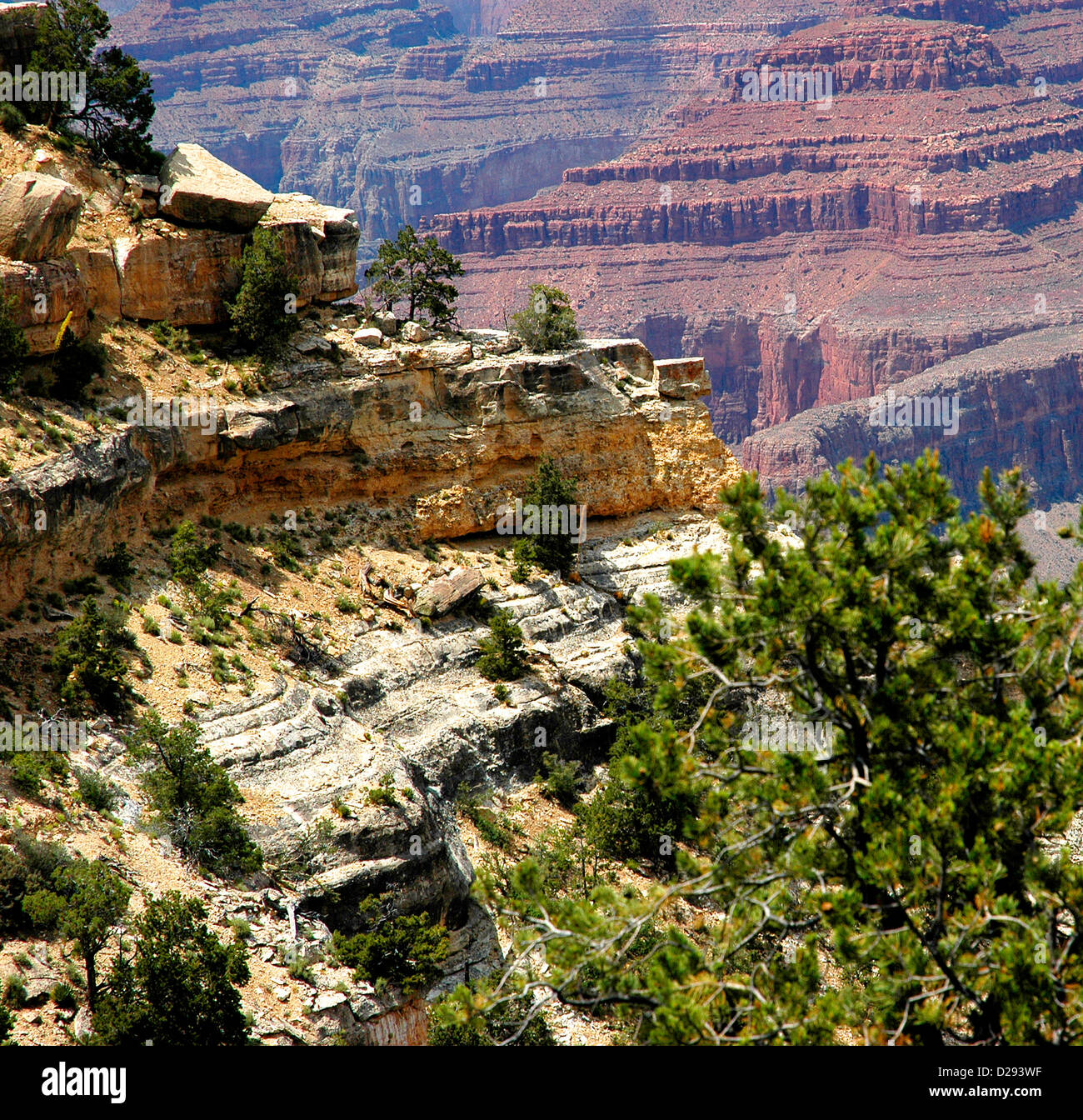 La géologie du Grand Canyon Banque D'Images