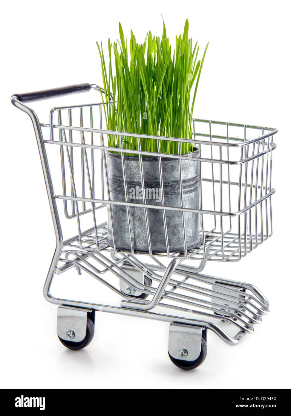 Vert et écologique concept d'épicerie - graminées croissant dans une boite métal peut, dans votre panier Banque D'Images