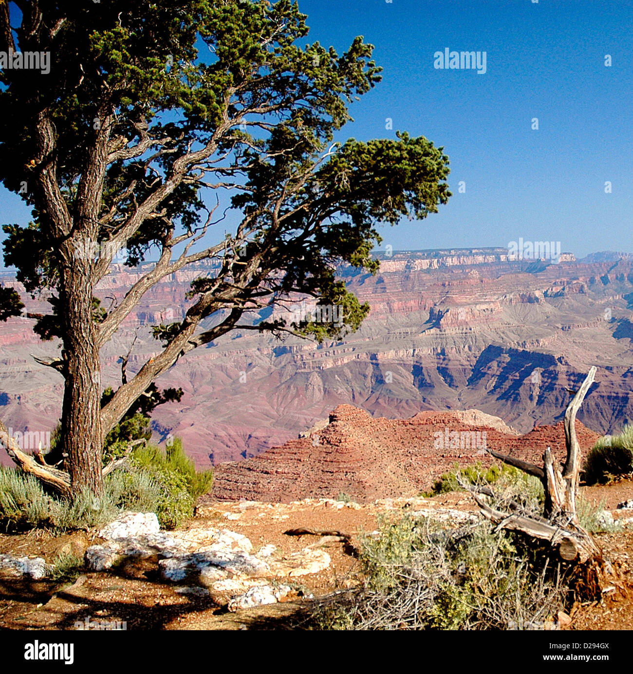 Le Parc National du Grand Canyon, Arizona, USA Banque D'Images