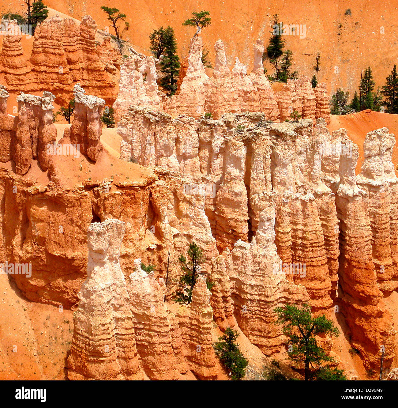 Piliers rocheux de Bryce Canyon Banque D'Images
