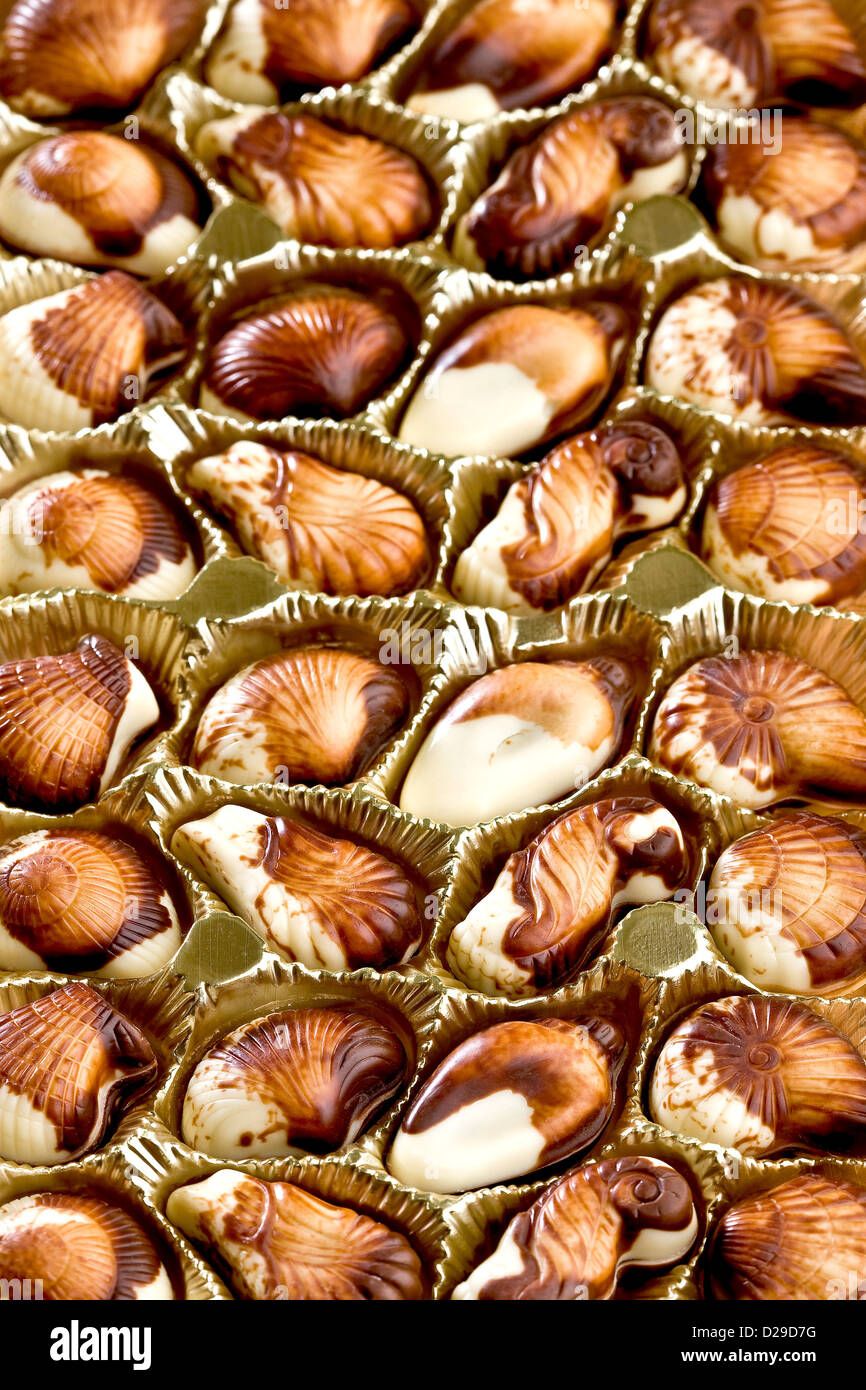 Les coquillages au chocolat belge Banque D'Images