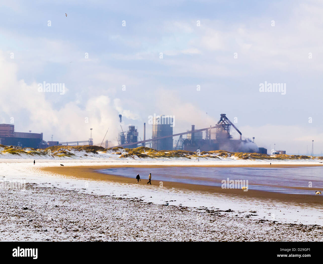 Les gens qui marchent sur les chiens un harfang Coatham Plage en face de l'entreprise thaïlandaise SSI Steel works à Redcar en janvier 2013 Banque D'Images