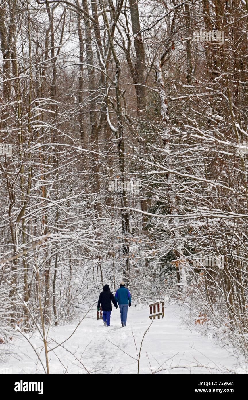 La marche sur le chemin enneigé, Virginie Banque D'Images