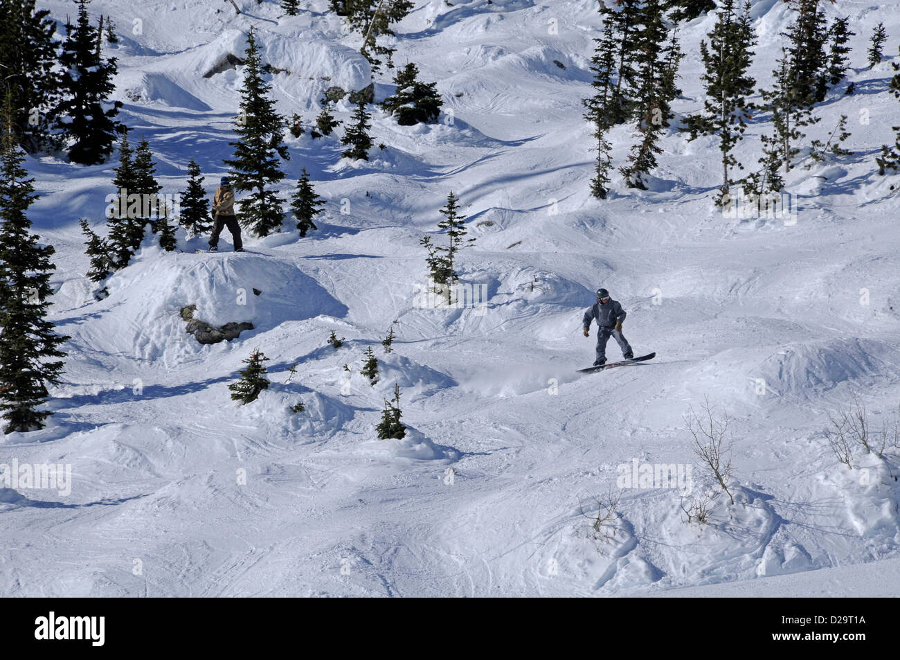 Jackson Hole, Wyoming. Pente de ski de bosses, Banque D'Images