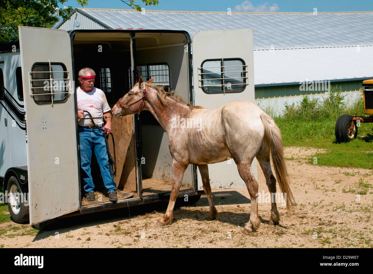 Remorque pour cheval et chevaux, entraîneur de chevaux, Wisconsin Farm Banque D'Images