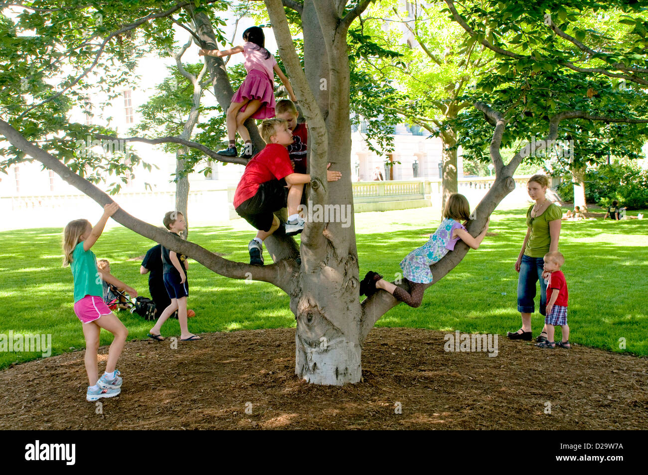 Arbre Escalade Enfants Banque D'Images