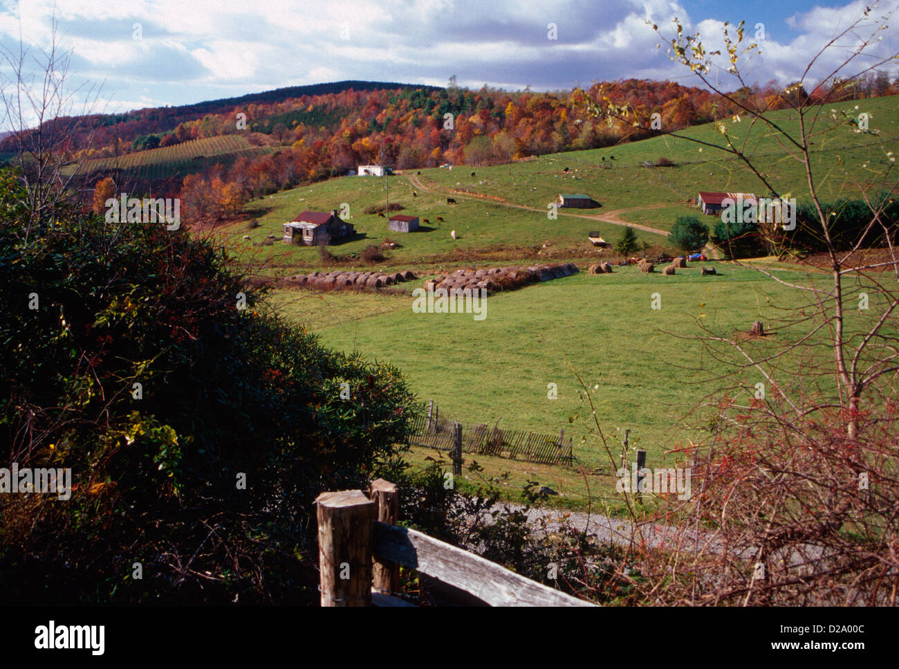 Virginie, Blue Ridge Mountains. Ferme. Banque D'Images