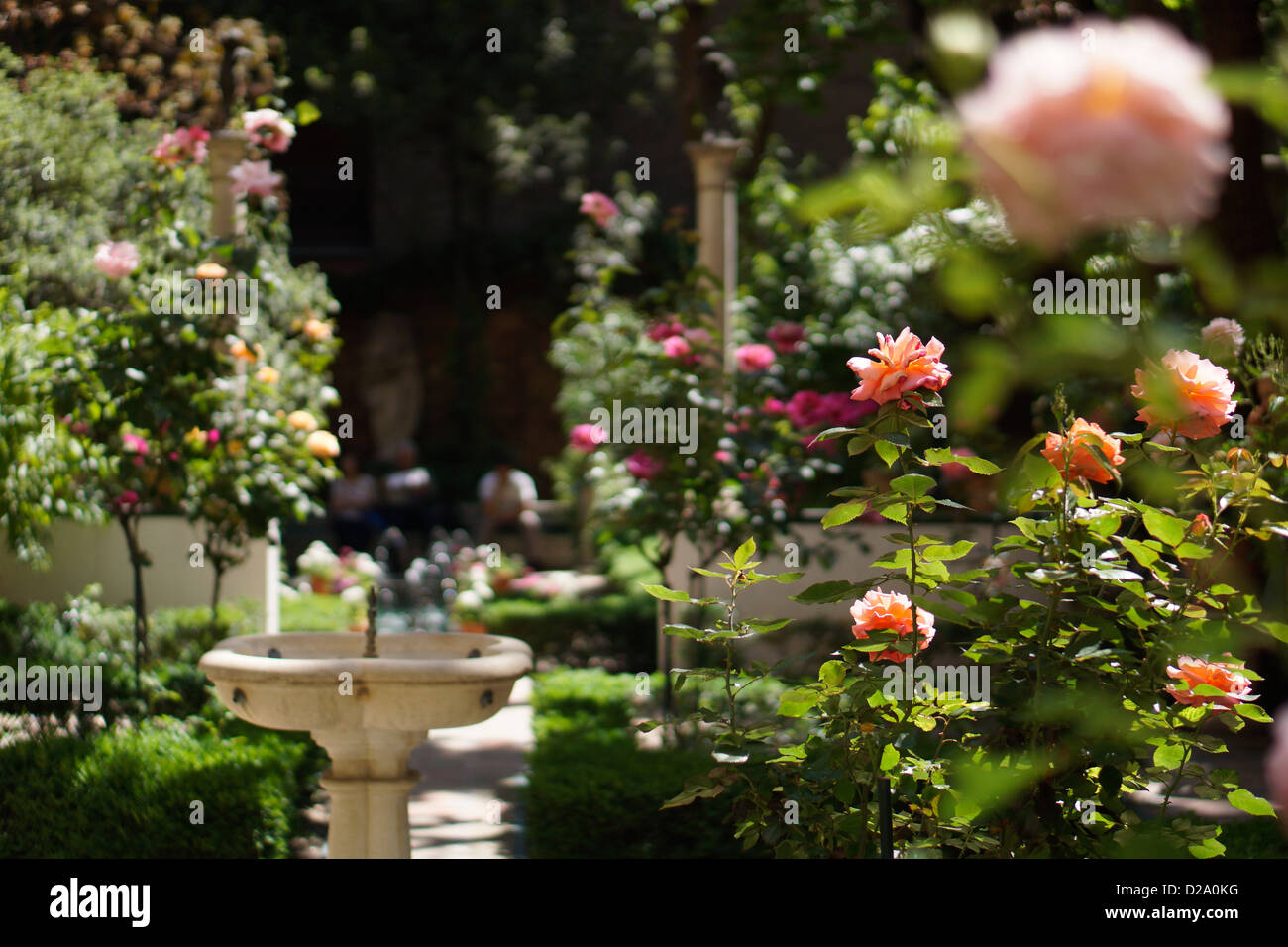 Museo Sorolla, madrid espagne jardin du musée rose Banque D'Images