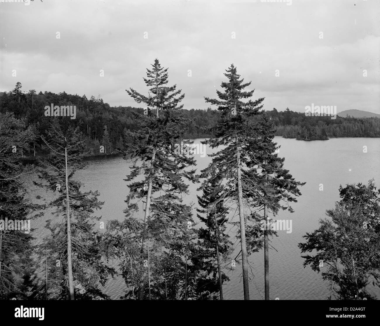 Haut Saint Regis, lac des montagnes Adirondack [entre 1900 et 1906] Banque D'Images