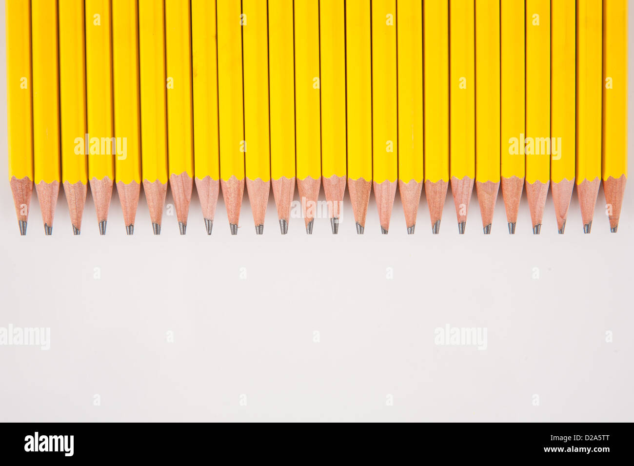 Plusieurs jaune, numéro 2 crayons avec conseils affûtés, alignées dans une ligne de blanc. Banque D'Images