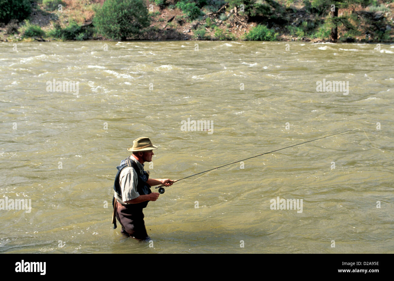 Salida, Colorado, la pêche à la mouche l'homme dans la rivière Arkansas Banque D'Images