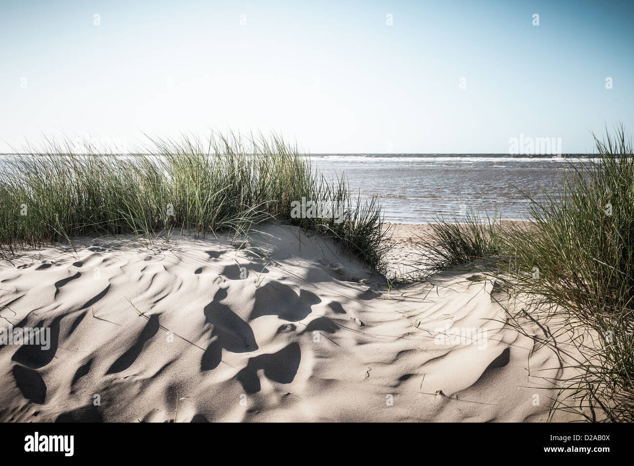 Les dunes de sable sur plage Banque D'Images