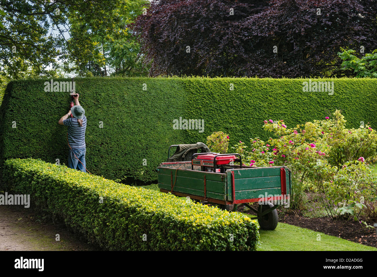 Haie Triming Banque D'Images