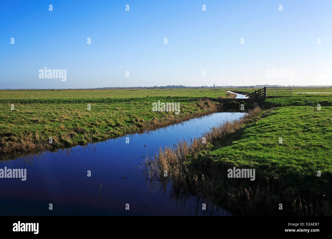 Un canal de drainage des terres de pâturage dans les marais à Wickhampton, Norfolk, Angleterre, Royaume-Uni. Banque D'Images