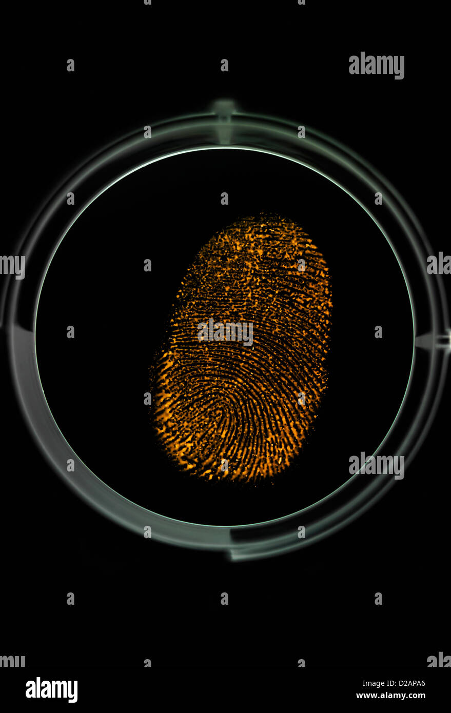 L'impression de doigt d'être identifié comme un mot de passe pour accéder à l'information Banque D'Images L'impression de doigt d'être identifié comme un mot de passe pour accéder à l'information Banque D'Images
