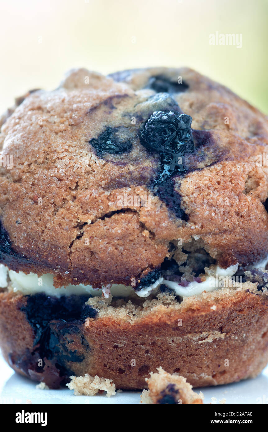 Des petits fruits délicieux muffins aux bleuets Banque D'Images