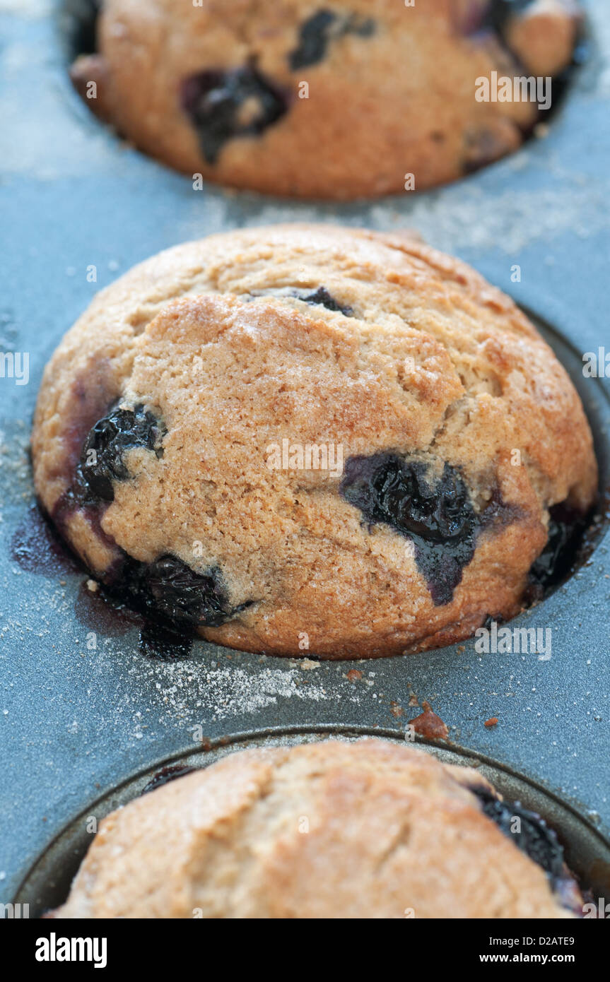 Des petits fruits délicieux muffins aux bleuets Banque D'Images
