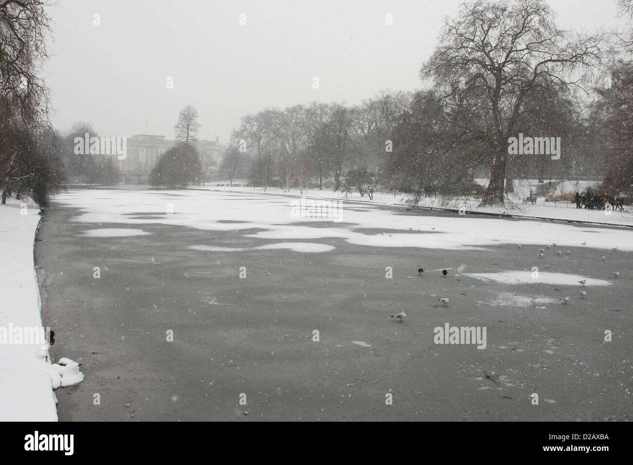 Le palais de Buckingham dans la neige gelée sur ST. Général James LAKE VIEWS NEIGE AUTOUR DE LONDRES LONDON ENGLAND UK 18 Janvier 2013 Banque D'Images