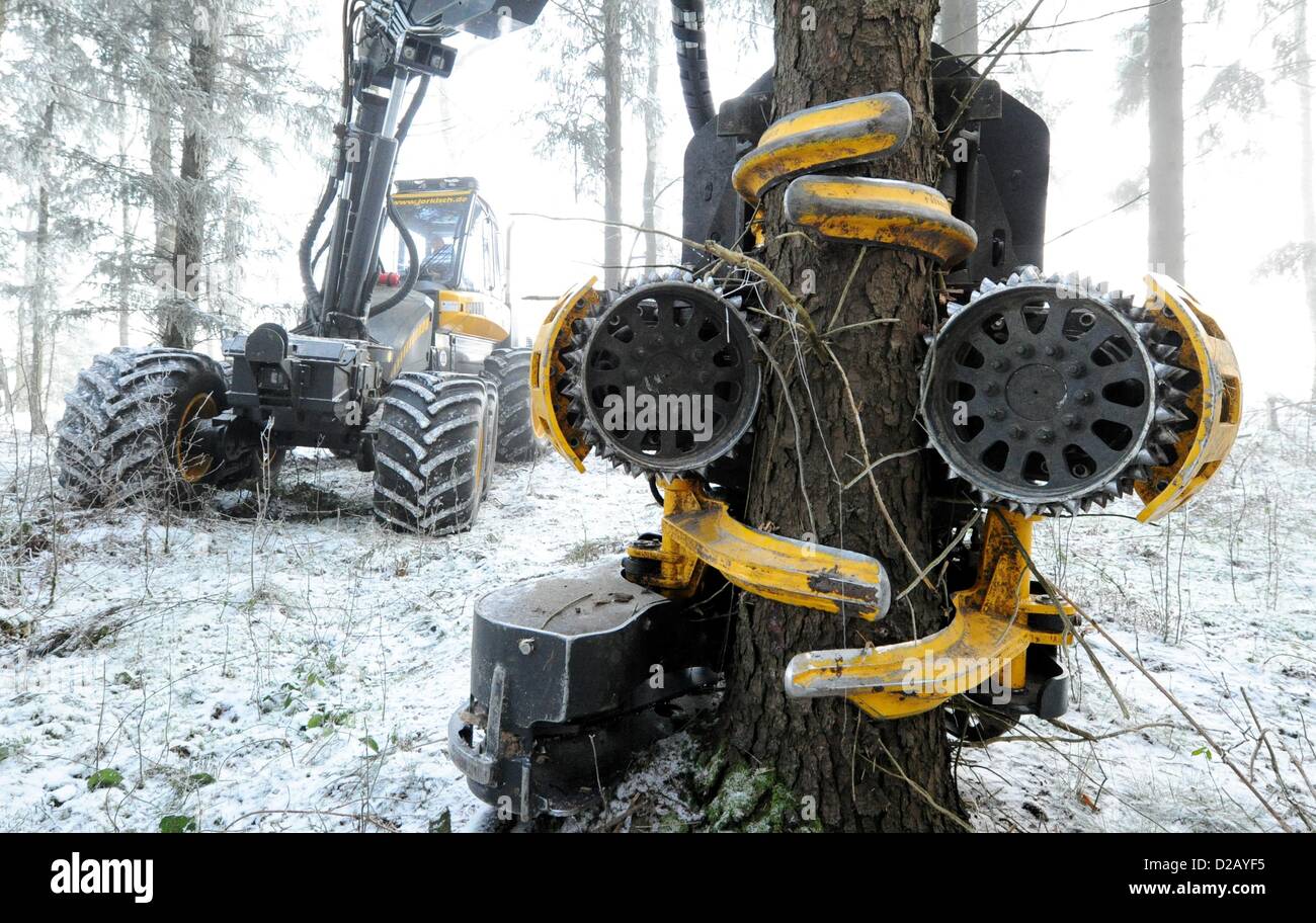 Les arbres à aiguilles est exploitée avec un soi-disant Harvester dans une forêt près de Hartenholm, Allemagne, 15 janvier 2013. L'un demi-million d'appareil coûteux peut scier jusqu'à 65 tiges épaisses et effectue le travail de 10 hommes avec des tronçonneuses. À l'échelle nationale en 2011, 56,14 millions de mètres cubes de bois ont été brisées. Photo : Carsten Rehder Banque D'Images