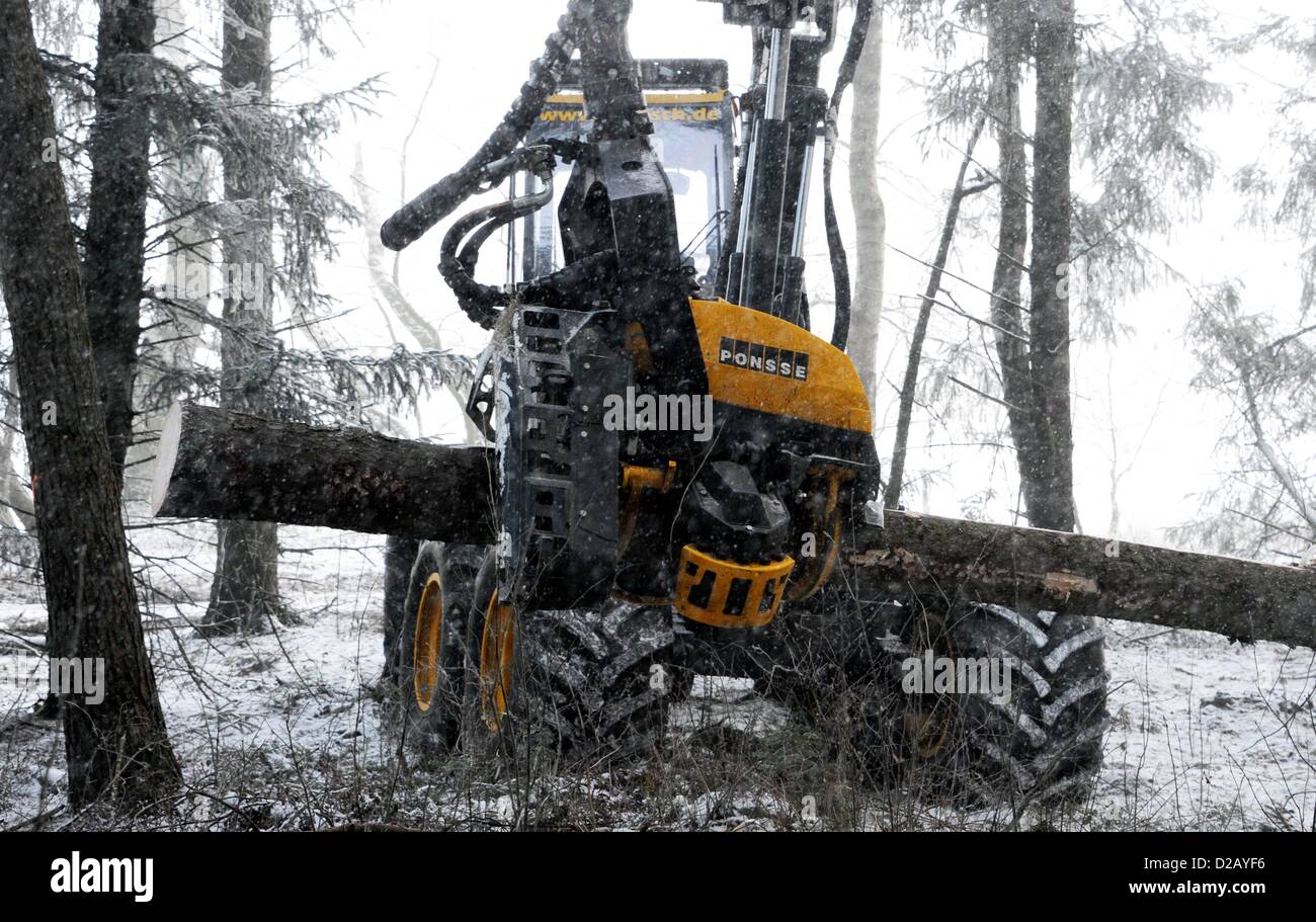 Les arbres à aiguilles est exploitée avec un soi-disant Harvester dans une forêt près de Hartenholm, Allemagne, 15 janvier 2013. L'un demi-million d'appareil coûteux peut scier jusqu'à 65 tiges épaisses et effectue le travail de 10 hommes avec des tronçonneuses. À l'échelle nationale en 2011, 56,14 millions de mètres cubes de bois ont été brisées. Photo : Carsten Rehder Banque D'Images