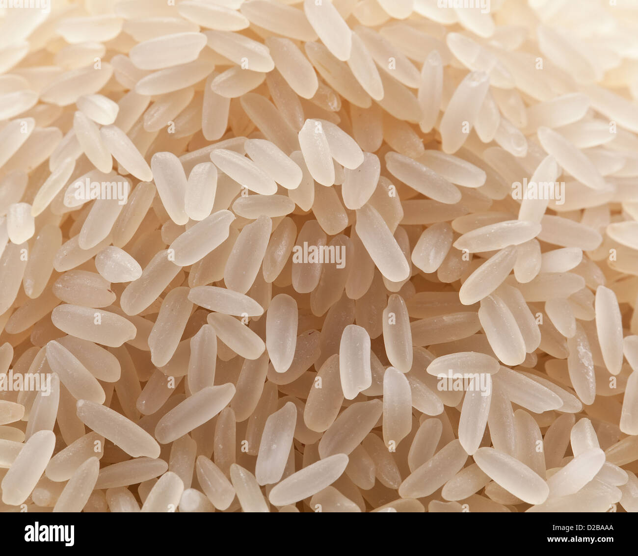 Le riz brut. Un coup de feu. Banque D'Images
