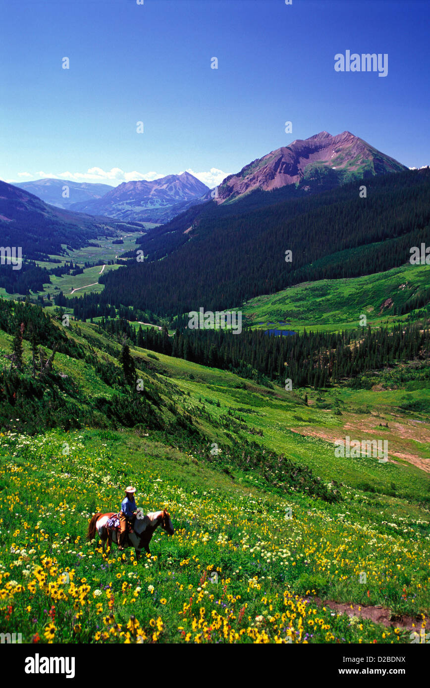 Colorado.femme l'équitation sur le Sentier # 401, au-dessus de Washington Gulch Banque D'Images