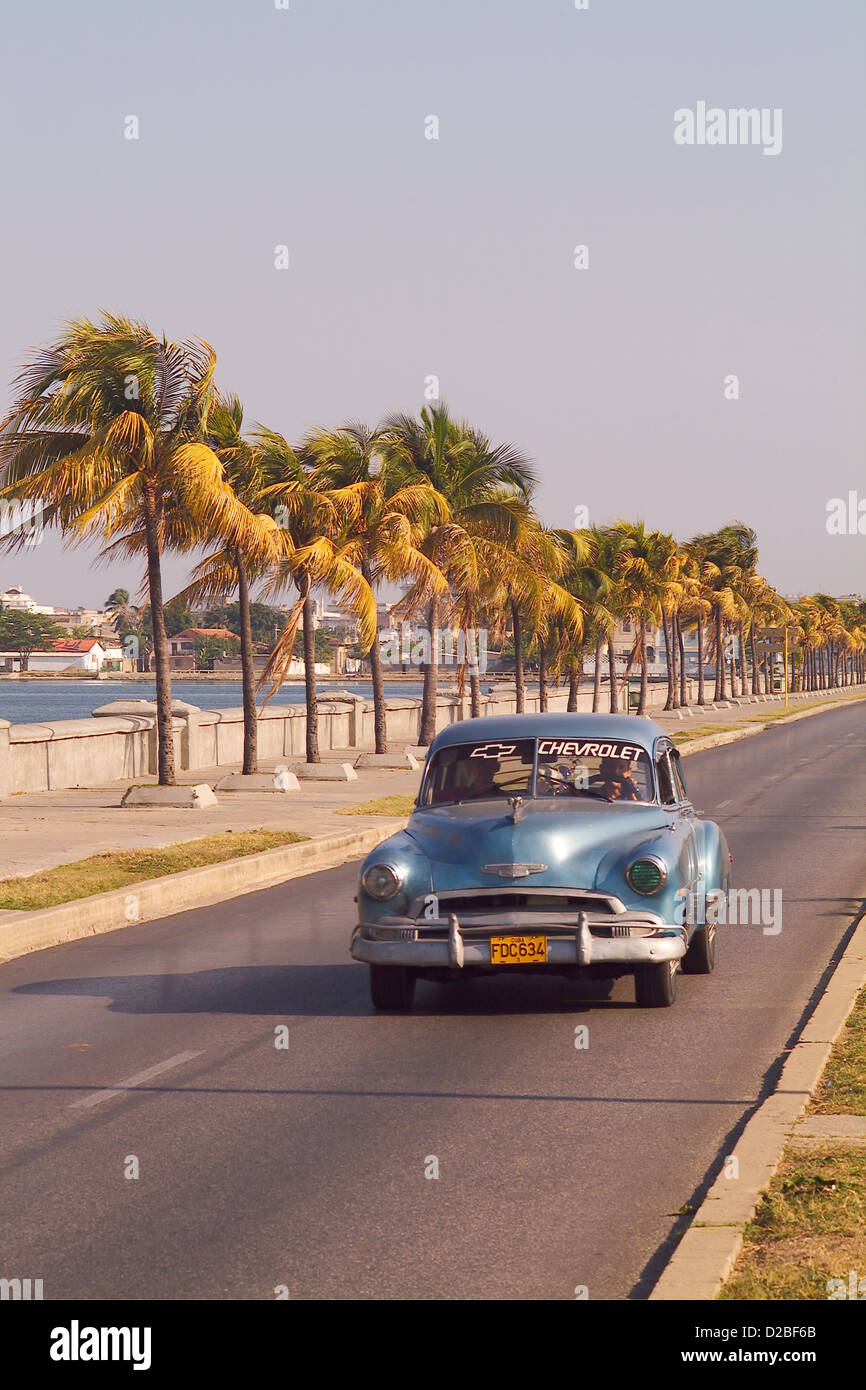 Cuba, Cien Fuergos. 50 ANS Chevrolet sur Palm-Lined Road Banque D'Images