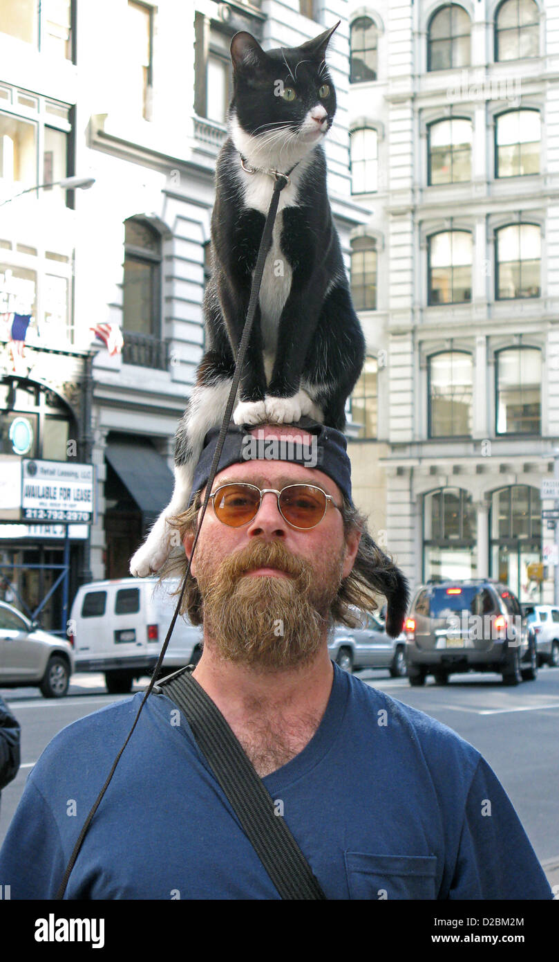 New York City Fifth Avenue et 20e Rue. Portrait d'un homme marchant avec un chat sur sa tête. Banque D'Images