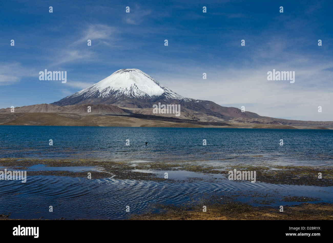 Volcan Parinacota dans parc de Lauca, Chili Banque D'Images